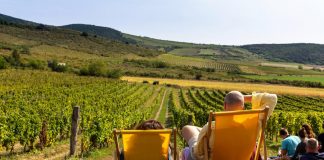 Kerekdomb Fesztivál és Bormustra Tokaj-Hegyalja