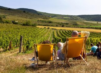 Kerekdomb Fesztivál és Bormustra Tokaj-Hegyalja