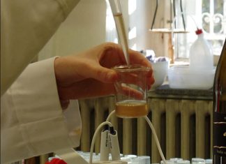 Új módszer a borok hamisítása ellen