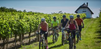 BalatonBike365 – bringás túrák egész évben