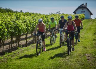 BalatonBike365 – bringás túrák egész évben