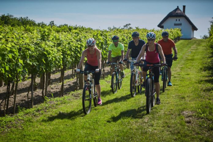 BalatonBike365 – bringás túrák egész évben BalatonBike365 – bringás túrák egész évben