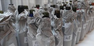 Hévíz város bora - Bort választott Hévíz