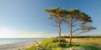 Embrace German Nature globális kampány