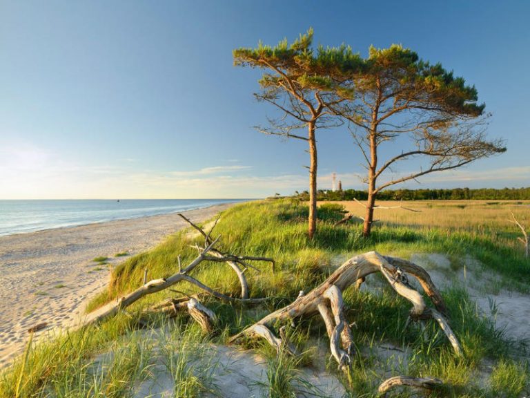 Embrace German Nature globális kampány