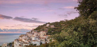 Fenntartható bor, paradicsom, juh- és kecskesajt Fenntartható bor, paradicsom, juh- és kecskesajt