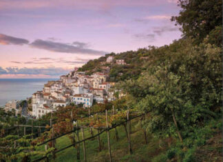 Fenntartható bor, paradicsom, juh- és kecskesajt