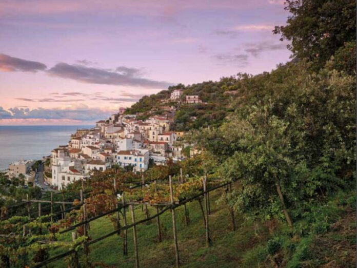 Fenntartható bor, paradicsom, juh- és kecskesajt