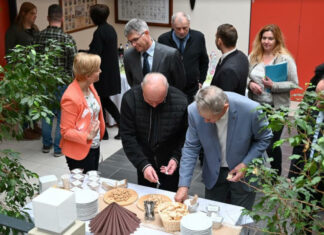 Süngombás sajttal az egészségért