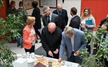 Süngombás sajttal az egészségért