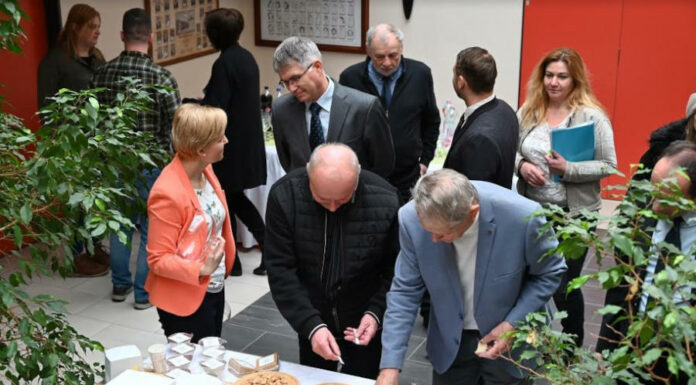 Süngombás sajttal az egészségért Süngombás sajttal az egészségért