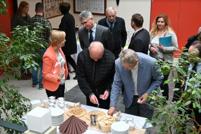 Süngombás sajttal az egészségért