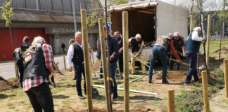 120 fát ültetnek a Harley-sok Budapesten