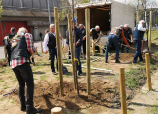 120 fát ültetnek a Harley-sok Budapesten