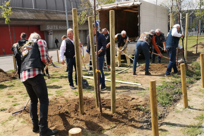 120 fát ültetnek a Harley-sok Budapesten 120 fát ültetnek a Harley-sok Budapesten