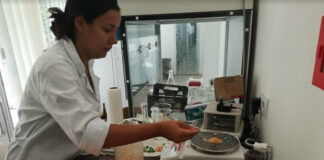 Ínycsiklandó sárgadinnyéket tanulmányoztak a MATE-n sárgadinnyéket tanulmányoztak a MATE-n