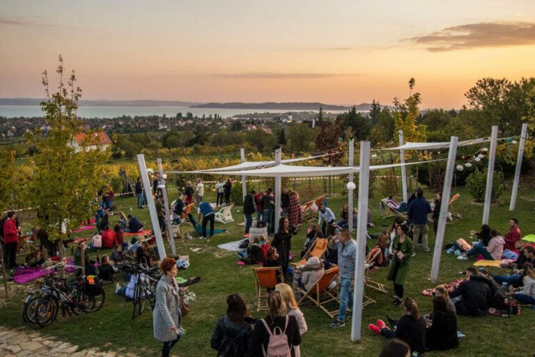 Borterasz, Honola Pincészet - gasztronómai