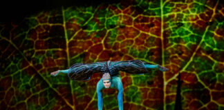 Cirque du Soleil OVO - kultúra