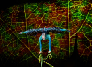 Cirque du Soleil OVO - kultúra