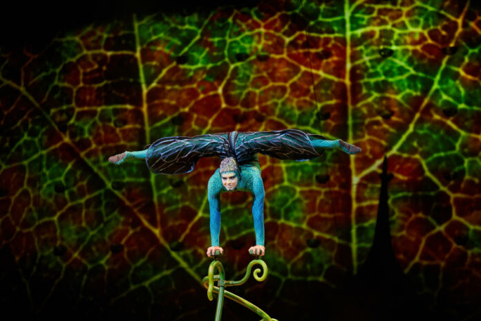 Cirque du Soleil OVO - kultúra