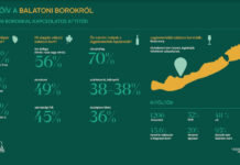 Az olaszrizling a legnépszerűbb balatoni bor