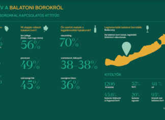 Az olaszrizling a legnépszerűbb balatoni bor