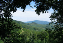 Kékestető, Mátra - turizmus