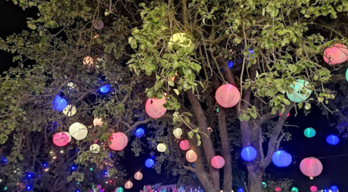 Kirobbanó energiák és a négy őselem tánca a Paloznaki Jazzpikniken Paloznak Jazzpiknik - fesztivál, turisztika