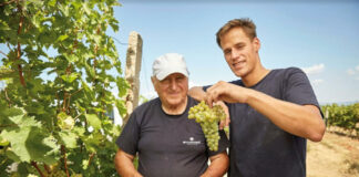 Reményteli 2023-as szőlőtermés Bujdosó Pincészet, Balatoni Borvidék