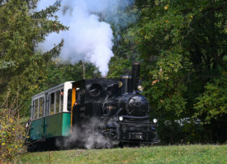 121 éves Triglav gőzmozdony Kemence és Feketevölgy között