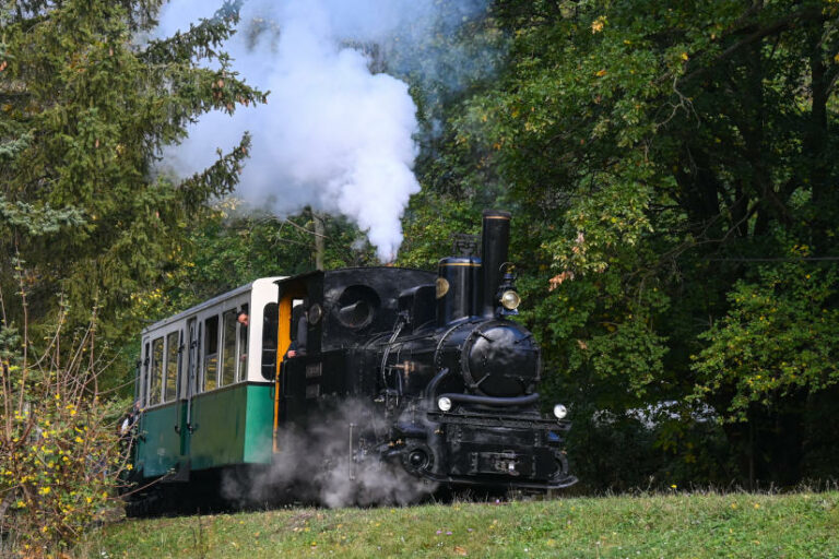 121 éves Triglav gőzmozdony Kemence és Feketevölgy között