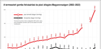 termesztett gomba felvásárlási és piaci átlagára Magyarországon