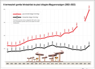 Sikerrel lábalt ki a magyar gombaszektor a koronavírus-járvány nehézségeiből termesztett gomba felvásárlási és piaci átlagára Magyarországon