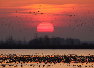 Hortobágyi Nemzeti Park - turisztika