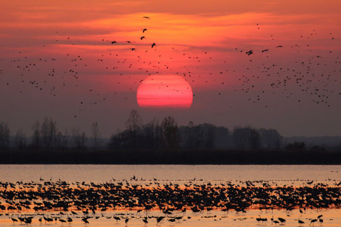 Hortobágyi Nemzeti Park - turisztika