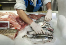 haltermelés, halfogyasztás - gasztronómia, élelmiszer