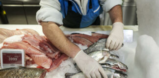 haltermelés, halfogyasztás - gasztronómia, élelmiszer