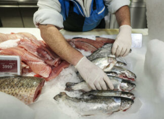 haltermelés, halfogyasztás - gasztronómia, élelmiszer