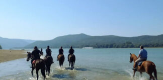 Lovas turisztika, Magyarország - turizmus