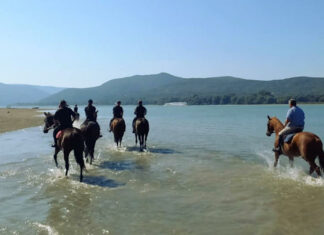 Lovas turisztika, Magyarország - turizmus