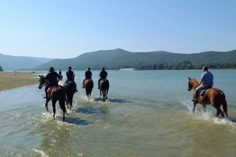Lovas turisztika, Magyarország - turizmus