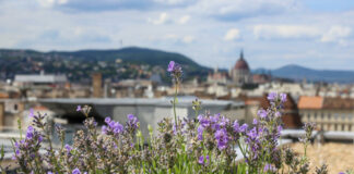 Hotel Kempinski szálloda rooftop office - szálloda, fenntarthatóság