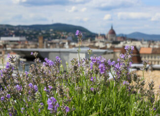 Hotel Kempinski szálloda rooftop office - szálloda, fenntarthatóság