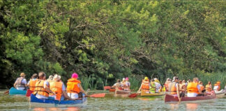 Tisza folyó, kajakozás - folyómentés