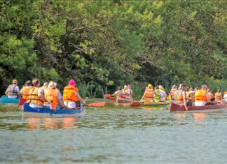 Tisza folyó, kajakozás - folyómentés