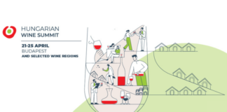 Hungarian Wine Summit 2024 borszakmai konferencia Hungarian Wine Summit 2024 konferencia
