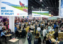 Hungarian Wine Summit borszakmai konferencia - gasztronómia