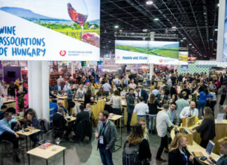 Hungarian Wine Summit borszakmai konferencia - gasztronómia