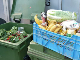 élelmiszer pazarlás, bio hulladék - fenntarthatóság, környezetvédelem