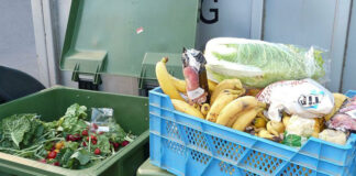 élelmiszer pazarlás, bio hulladék - fenntarthatóság, környezetvédelem